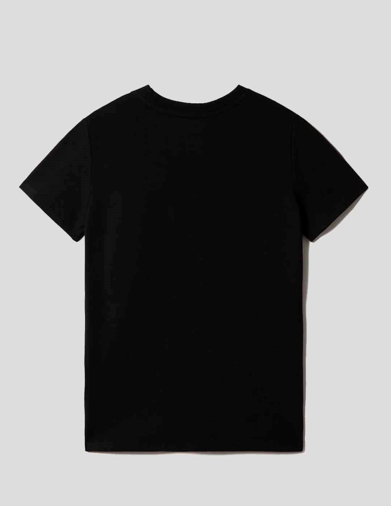 T-shirt THE NORTH FACE w pride tee black